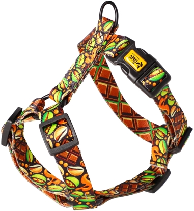 Picture of DINGO SZELKI GUARD CITY DUBAJ M 3,0       x 38-70cm