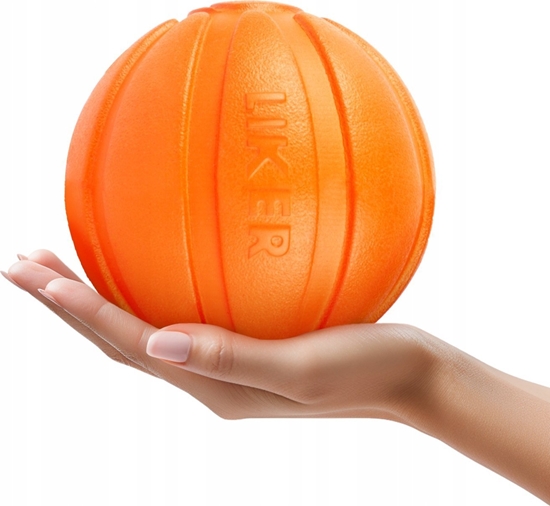 Изображение DOGGY LIKER 9