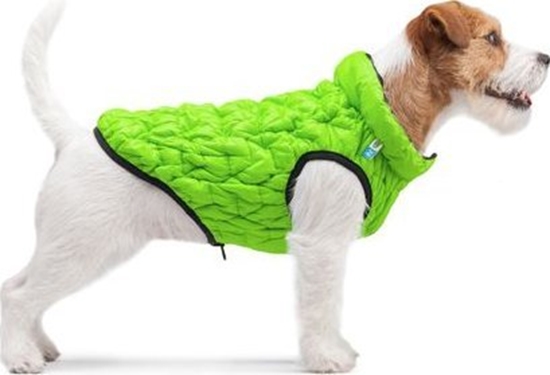 Picture of DOGGY S 33 KURTKA UNI JASNOZIELONA