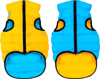 Picture of DOGGY XS KURTKA DLA PSA DWUSTRONNA ÓTA + NIEBIESKA