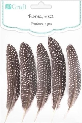 Attēls no DP Craft Pióra baanta DPCRAFT 18-20cm 5szt. Dalprint