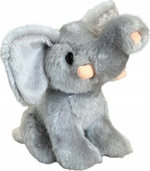 Picture of Dubi So 18cm