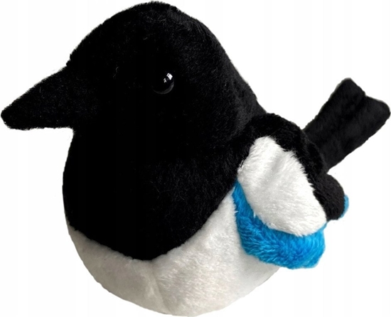 Picture of Dubi Sroka zwyczajna 13cm