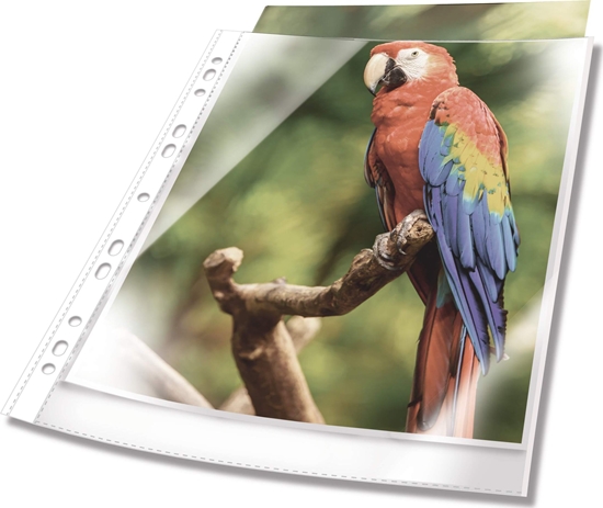 Изображение Durable DURABLE Prospekthüllen A4 oben offen 10 Stück glasklar,weiß