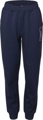 Изображение Dziecice spodnie Iguana DRUHAM TB rozmiar 152