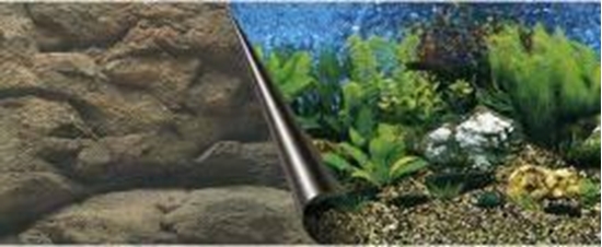 Picture of EBI Ebi Fototapeta Motyw Morza i Ska 80x40