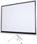 Attēls no Ekran do projektora Silelis Ekran projekcyjny Silelis ET-2 118" (213x213 cm, 1:1), zwijany automatycznie, trójnony statyw/stojak