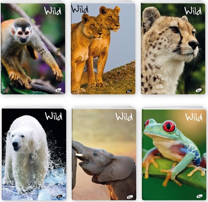 Picture of Elisa Zeszyt A5/32K kratka WILD MIX (20szt)