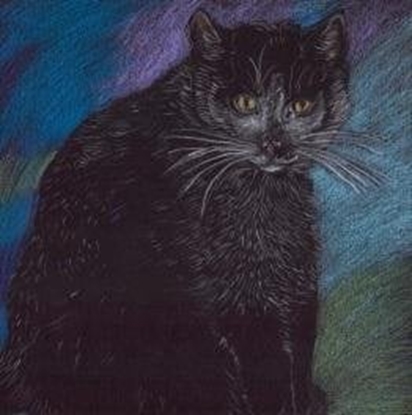 Picture of Emg Notes. Kot pastelowy