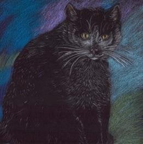 Picture of Emg Notes. Kot pastelowy