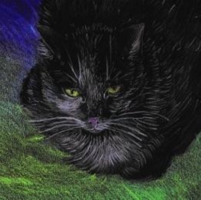 Picture of Emg Notes. Koty ekologiczne