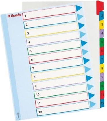 Изображение Esselte Przekadki do segregatora A4 Mylar ze stron opisow 1-12 numeryczne (10K200B)
