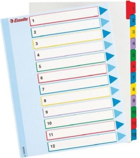 Изображение Esselte Przekadki do segregatora A4 Mylar ze stron opisow 1-12 numeryczne (10K200B)