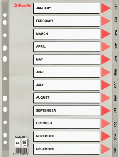 Изображение Esselte Przekadki do segregatora A4 PP szare (10K154IZ)