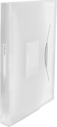 Picture of Esselte Teczka z przegródkami VIVIDA Biay (624018)