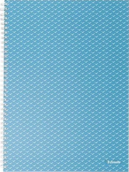 Picture of Esselte Zeszyt Colour'Breeze A4 squared niebiesk