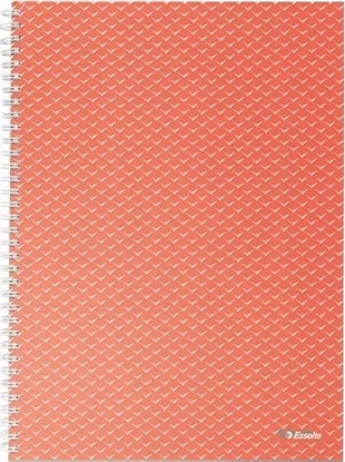 Picture of Esselte Zeszyt Colour'Breeze A5 squared coral