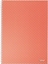 Picture of Esselte Zeszyt Colour'Breeze A5 squared coral