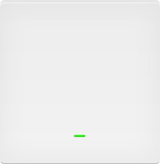 Picture of Evolveo EVOLVEO WiFi Single Switch, chytrý vypína