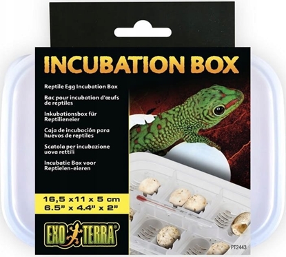 Picture of Exo Terra Box Inkubacyjny, 16,5 x 11 x 5cm