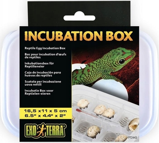 Picture of Exo Terra Box Inkubacyjny, 16,5 x 11 x 5cm