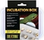 Picture of Exo Terra Box Inkubacyjny, 16,5 x 11 x 5cm