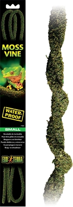 Attēls no Exo Terra Liana z mchem, S