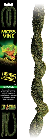 Picture of Exo Terra Liana z mchem, S