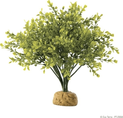 Attēls no Exo Terra Rolina sztuczna  Boxwood Bush