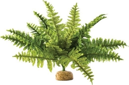 Attēls no Exo Terra Rolina sztuczna  Papro Boston Fern, M