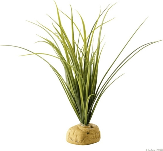 Picture of Exo Terra Rolina sztuczna  Turtle Grass