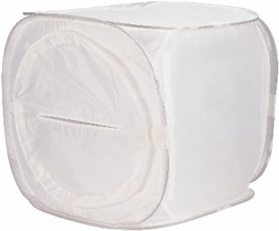 Picture of Falcon Eyes 120 X 120 cm valoteltta