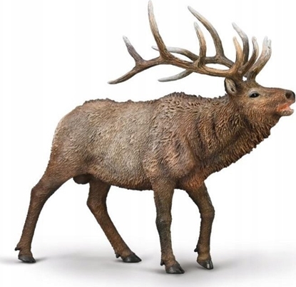 Attēls no Figurka Collecta COLLECTA JELE KANADYJSKI