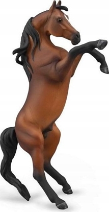 Изображение Figurka Collecta COLLECTA OGIER ARABSKI MACI BAY