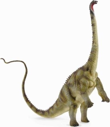 Attēls no Figurka Collecta Dinozaur Diplodok