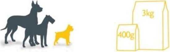 Picture of Fitmin  dog mini senior 2,5 kg