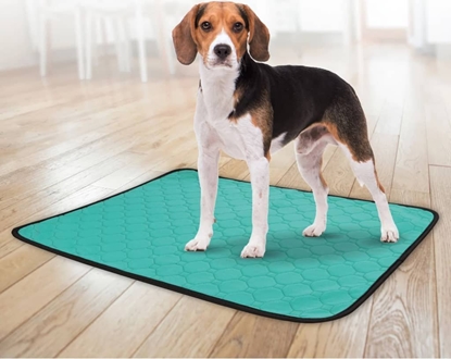 Picture of Flamingo Mata treningowa Patsy L, antypolizgowa, wielorazowa, zielona