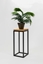 Изображение MAK FLOWER STAND LAVALXS BLACK OAK 19X19X47