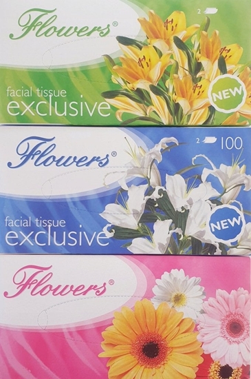 Picture of Flowers Chusteczki dwuwarstwowe Exclusive 100 listków (FLEX2W100)