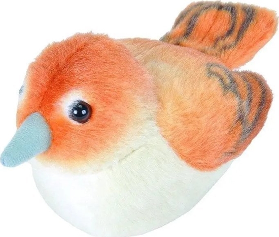 Изображение Fremeaux Wild Republic Birds with Sound Nightingale