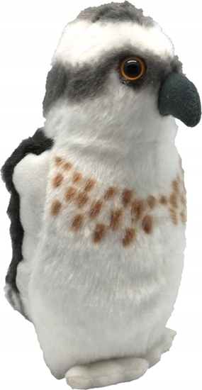 Изображение Fremeaux Wild Republic Birds with Sound Osprey