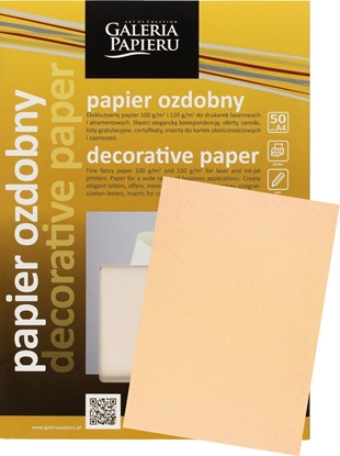 Picture of GALERIA PAPIERU Papier ozdobny Galeria Papieru A4/120g Nature ciemnobeowy (50) -