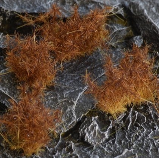 Изображение Gamers Grass Gamers Grass: Special tufts - 12 mm - Spikey Brown (Wild)