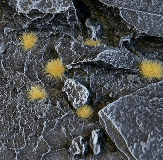 Изображение Gamers Grass Gamers Grass: Special tufts - 2 mm - Beige (Tiny)