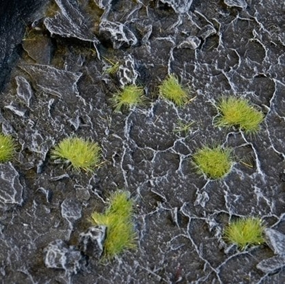 Изображение Gamers Grass Gamers Grass: Special tufts - 2 mm - Light Green (Tiny)