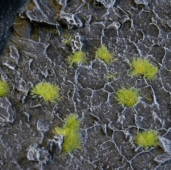 Изображение Gamers Grass Gamers Grass: Special tufts - 2 mm - Light Green (Tiny)