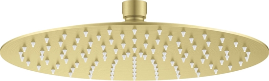 Picture of Gowica prysznicowa stalowa - okrga