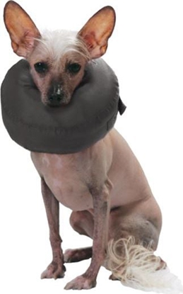 Picture of Grande Finale Konierz pooperacyjny rozmiar 2 [WET/K/2]