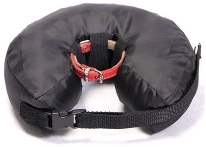 Picture of Grande Finale Konierz pooperacyjny rozmiar 6