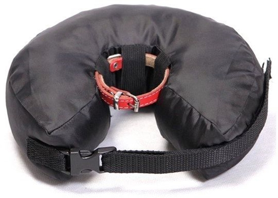 Изображение Grande Finale Konierz pooperacyjny rozmiar 6